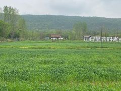 -南京老山国家森林公园