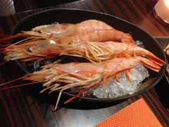牡丹虾-上海中星铂尔曼大酒店 锦·日本料理