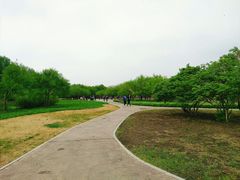 -长春公园(普阳街道)