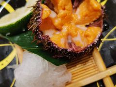 海胆（活）-争鲜回转寿司(南开大悦城店)