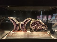 -正佳自然科学博物馆