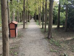 -上海长兴岛郊野公园