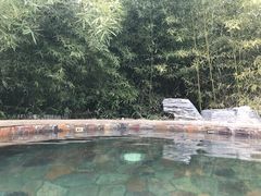 -中家鑫园温泉酒店鑫悦汤泉