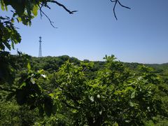 -大青沟风景区