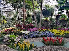 -北京植物园-展览温室