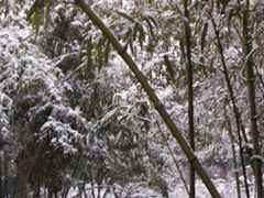 景点-花溪公园