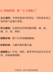 点击看大图 -玛莲朵·海菲秀冰珀科