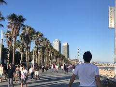 -小巴塞罗那海滩
