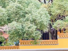 -太子山公园(园东路)