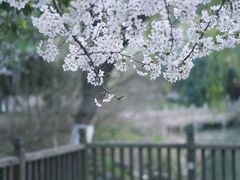 -玉山公园