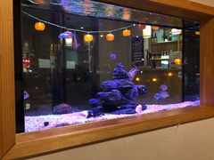 -悦和餐厅(CBD玉米楼店)