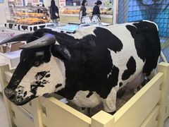 -红星前进面包牛奶公司(君太店)