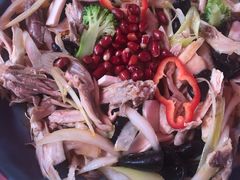 新疆椒麻鸡-董小西的凉皮和椒麻鸡(三元桥店)