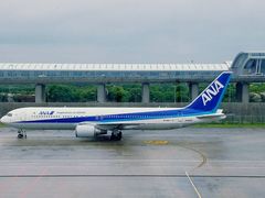 -全日本空输株式会社(上海办事处)