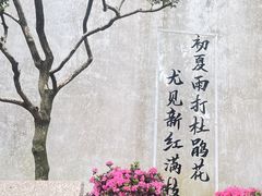 -拙政园