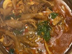 -洞庭家宴·头牌甲鱼(广渠门店)