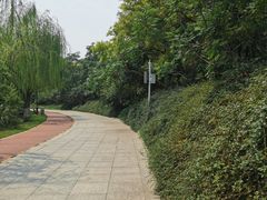 -南翠屏公园