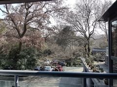 -山外山菜馆(玉泉路店)