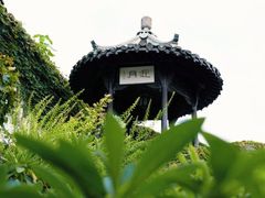 -何园