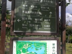 -紫薇公园
