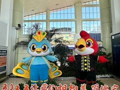 -德宏芒市国际机场