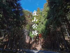 -合肥滨湖国家森林公园