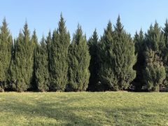 -汉长安城未央宫国家考古遗址公园