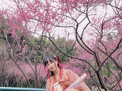 -重庆彩云湖湿地公园