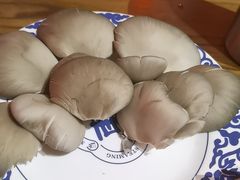 -东镇老火锅(高新区店)
