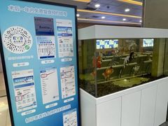 -武汉大学附属爱尔眼科医院(湖北总院)