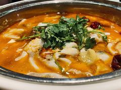 肥肠鱼-龙梅肥肠鱼(明瓦廊店)