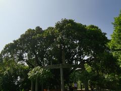 -抚仙湖禄充风景区