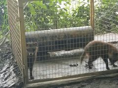 -青瓦房古村落