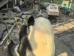 -二一九公园