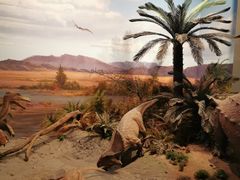 -贝林大翅鲸简餐厅(国家海洋博物馆店)