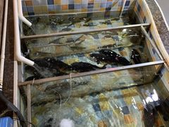 -缘福乡村铁锅炖民宿(八达岭店)
