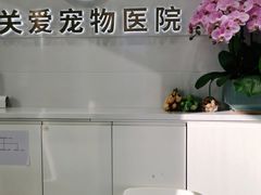 -关爱宠物医院·猫科中心·消化科(滨湖万达分院)