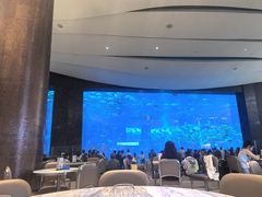 -亚特兰蒂斯•OSSIANO奥西亚诺海底餐厅