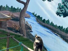 -西霞口神雕山野生动物世界