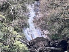 -花岩国家森林公园