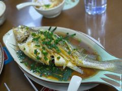 清蒸黄花鱼-聂记粤菜馆(鼓西路店)
