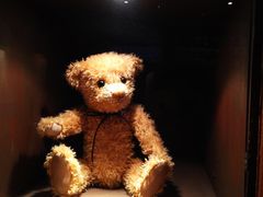 -济州岛泰迪熊博物馆