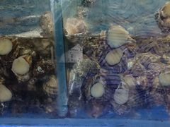 -海韵之星邮轮水会(明发商业广场店)