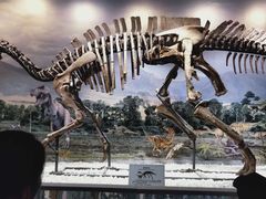-辽宁古生物博物馆