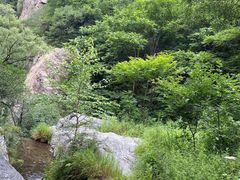 -四明山国家森林公园