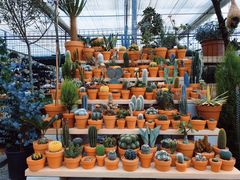 -三圣花乡旅游区