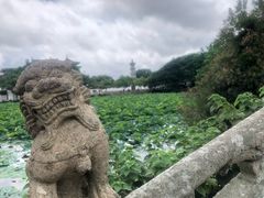 -普陀山慧济禅寺