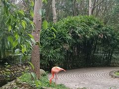 -广东茂名森林公园