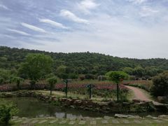 -龙寺生态园