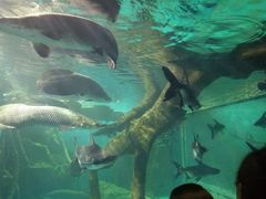 -多彩贵州城极地海洋世界